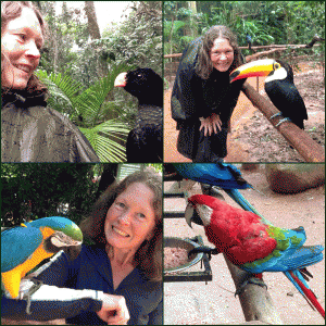 bird-park-brazil