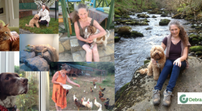 Debra’s House free lifestyle as a House & Pet Sitter (and companion)